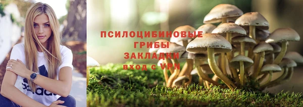 ешки Аркадак
