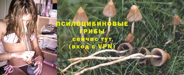 мяу мяу мука Арсеньев