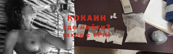 ешки Аркадак