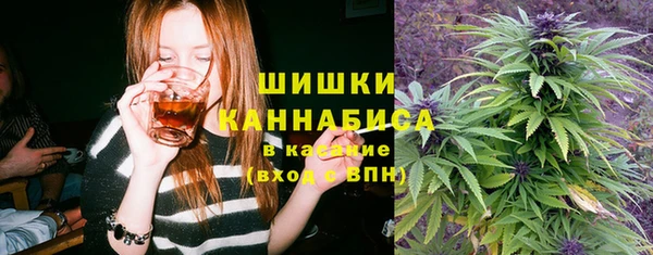 ешки Аркадак