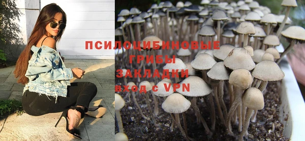 ешки Аркадак